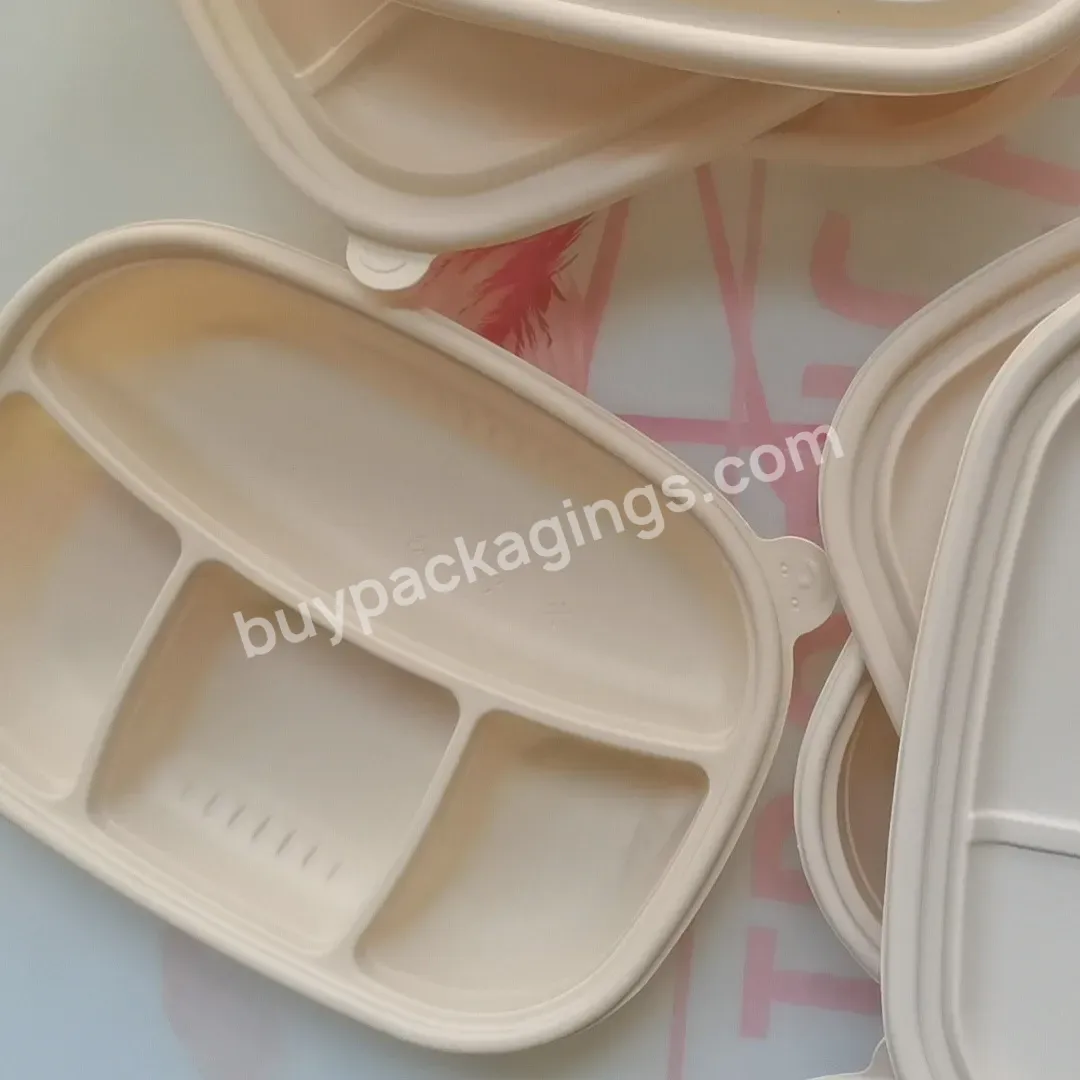 Microwave Disposable Plastic Food Container 4 Compartment Disposable Food Container Custom Lunch Box Disposable