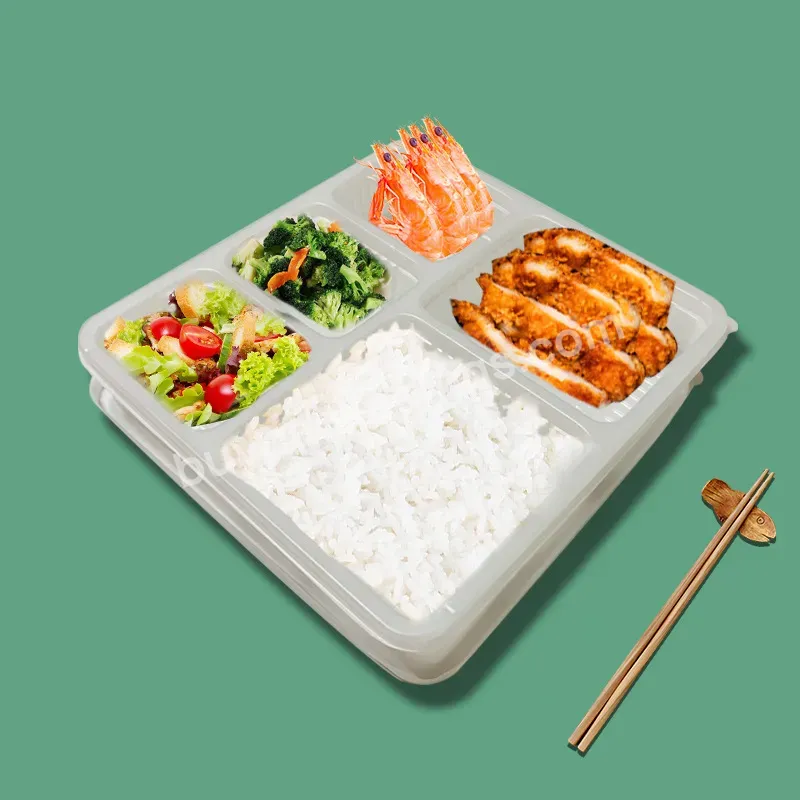 Microwave Disposable Plastic Food Container Biodegradable Takeaway Plastic Lunch Box Wholesale Disposable Eco Friendly Lunch Box