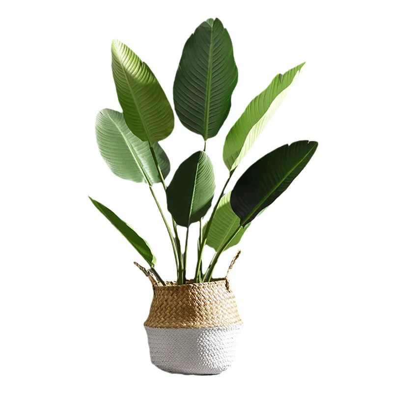 Modern Simple Wholesale Original Trees For Decor Bird Of Paradise Artificial Plant