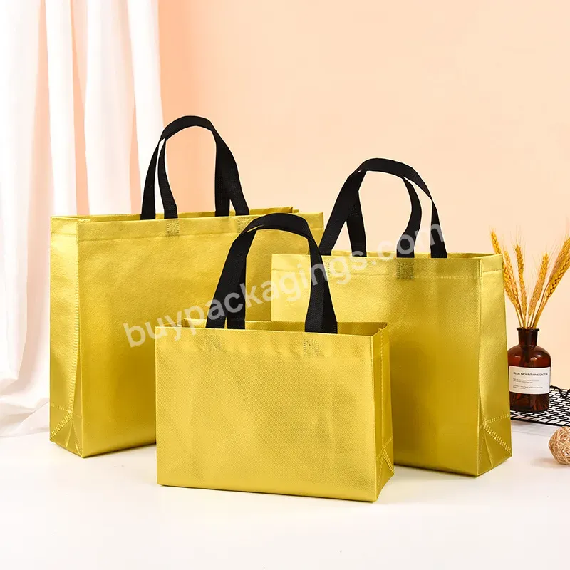 New Promotional Nonwoven Pp Woven Bag Pet Handled Shopping Rpet Non Woven Bag Non Woven Gift Bag