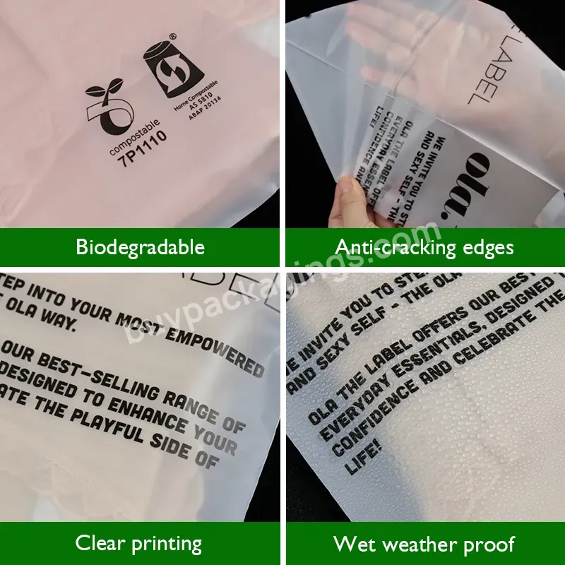 Own Logo Printed Biodegradable Bag Self Seal Clothes Package Self-adhesive Pla Frosted Transparent Self-adhesive Bag