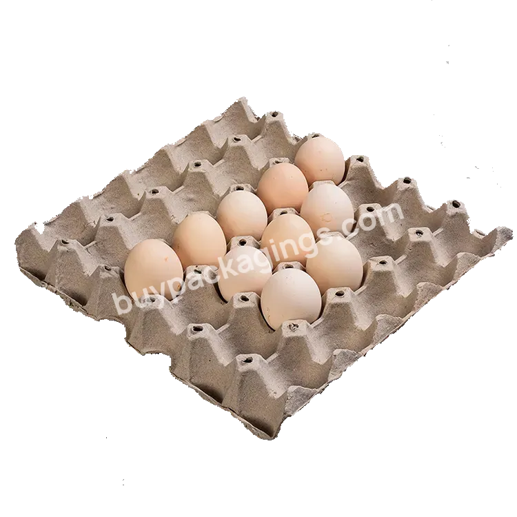 Paper Eggs Tray Wholesale Disposable Recycle Paper Pulp 36 Cells Eggs Tray Bio Degradable Can Be Customized