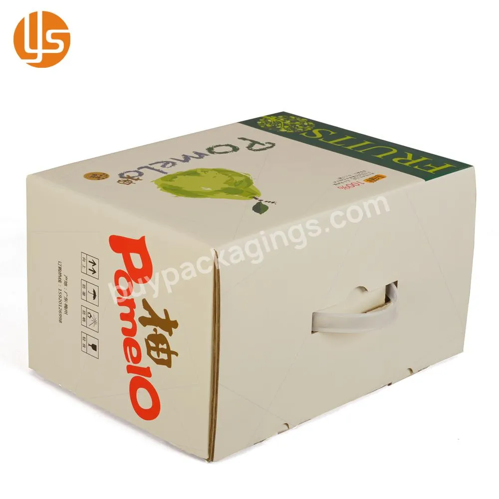 Personalize Custom Print Carton Fruit Gift Packing Cardboard Carry Box With Plastic Handle