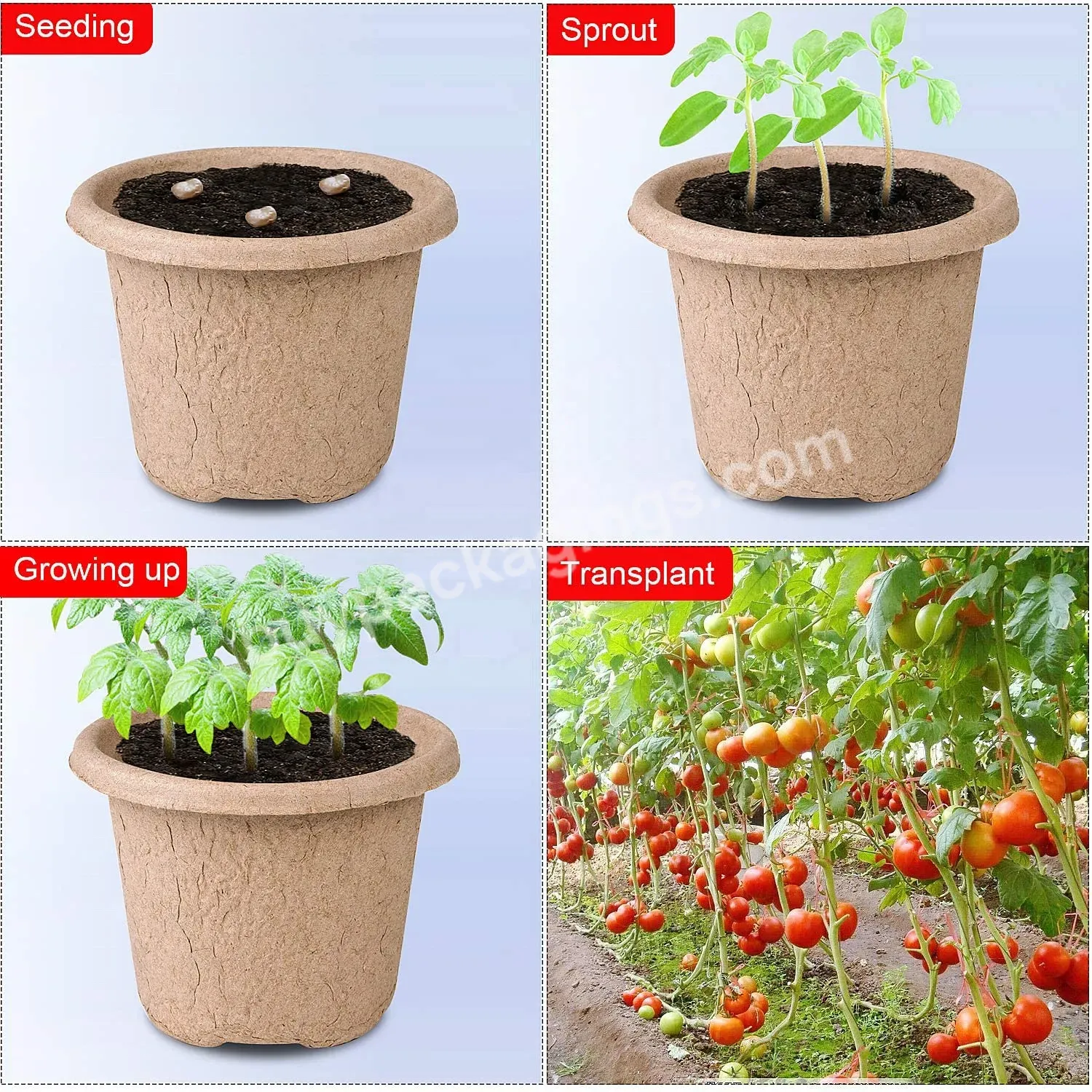 Plant Nursery Seeding Tray Electronic Medicine Paper Pulp Seedling Cup Biodegradable Flower Pots - Buy Nursery Pot,Seeding Pot,Paper Pulp Product.