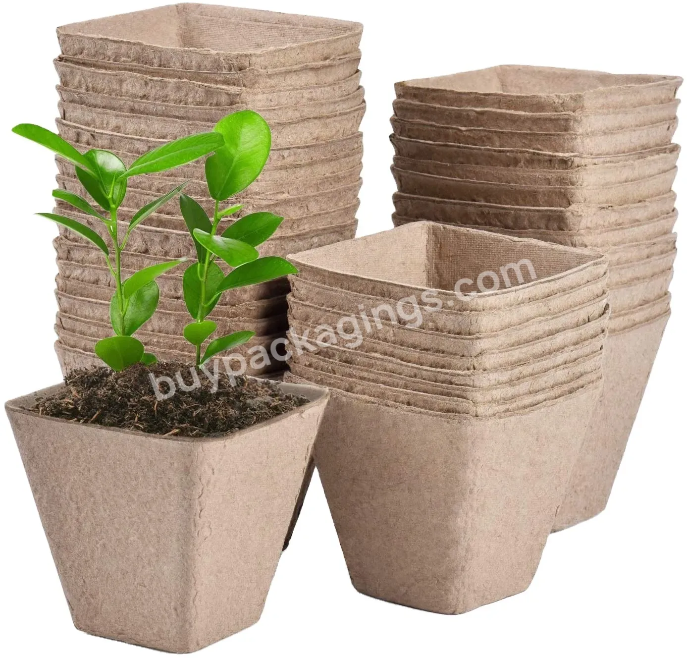 Plant Nursery Seeding Tray Paper Pulp Seedling Cup Biodegradable Flower Pots Molded