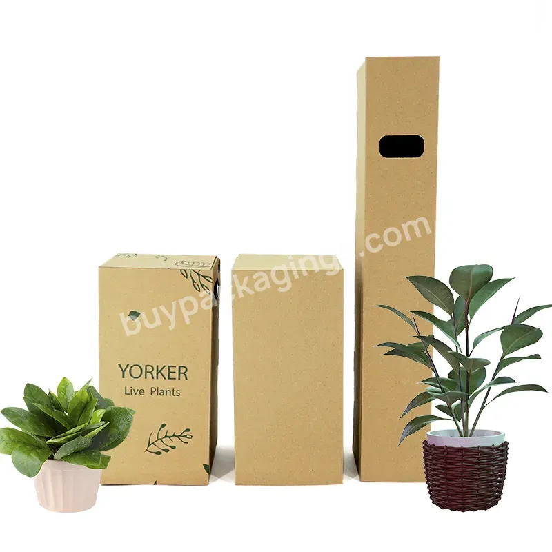 Plant Shipping Packaging Gift Blank Kraft Box Mailer Boxes Logo Natural Plants Customized Paper Boxes