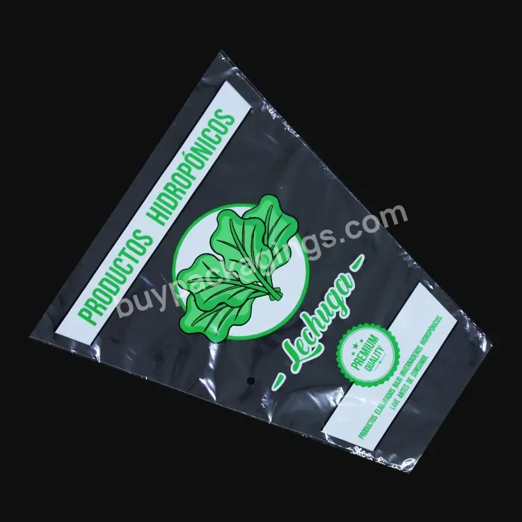 Plastic Cone Bags Flower Sleeve Package Packaging Vegetable Lettuce Bag Bopp Cpp Material Welcome Customized Size Logo Printing