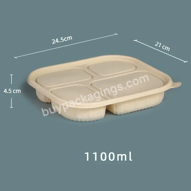 Plastic Lunch Box Food Containers Wholesale Microwave Lunch Box Plastic Bento Eco Recyclable Food Container Disposable