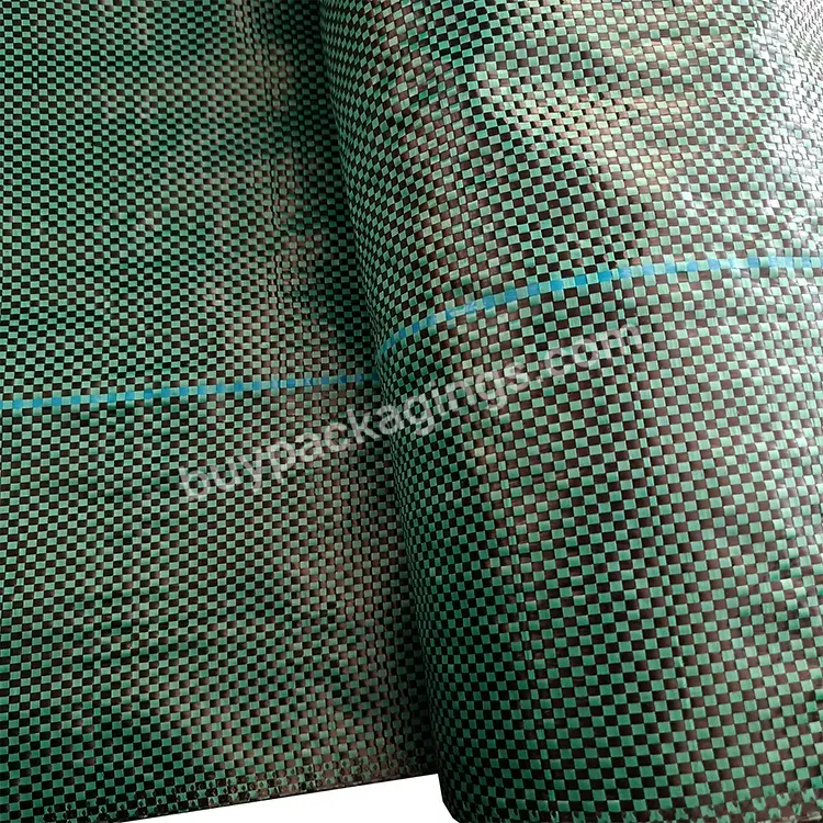 Pp Ground Cover,Weed Barrier Fabrics,Weed Mat In Strawberry Garden - Buy Pp Ground Cover,Weed Barrier Fabrics,Weed Mat.