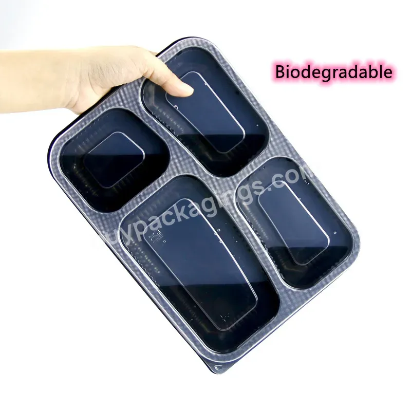 Pp Plastic Food Packaging Box 4 Compartment Disposable Food Container Eco Friendly To Go Containers Food Disposable