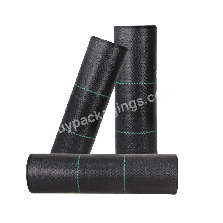 Pp Woven Membrane Pe Ground Cover Mesh Weed Mat Roll Anti Grass Weed Control Cloth Blocker Mulch Film - Buy Weed Mat Roll,Pp Anti Weed Mat,Pp Ground Cover.