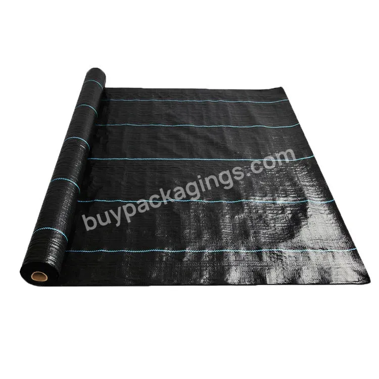 Qingdao Factory Supplier Anti Grass Ground Cover Weed Control Mat