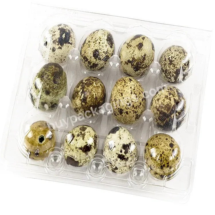 Rectangle Pet 12 Quail Egg Holders Tray Clear Plastic Fresh Quail Eggs Packing Box