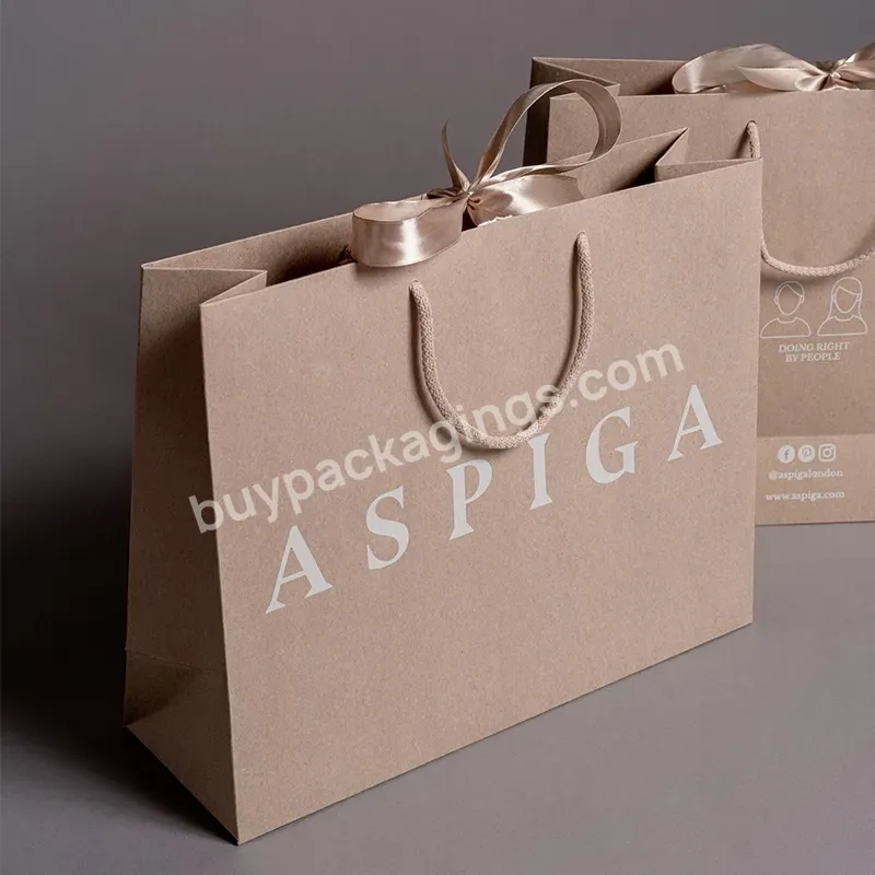 Recycled Luxury Shopping Paper Bags With Your Own Logo Art Paper Gift Bag With Rope Hand