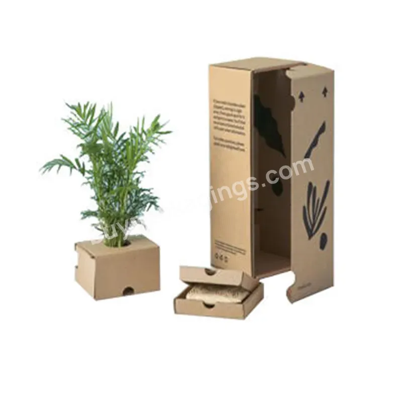 Recycled Rectangle Flower Custom Size Printing Live Corrugated Packaging Potted Indoor Plant Paper Boxes