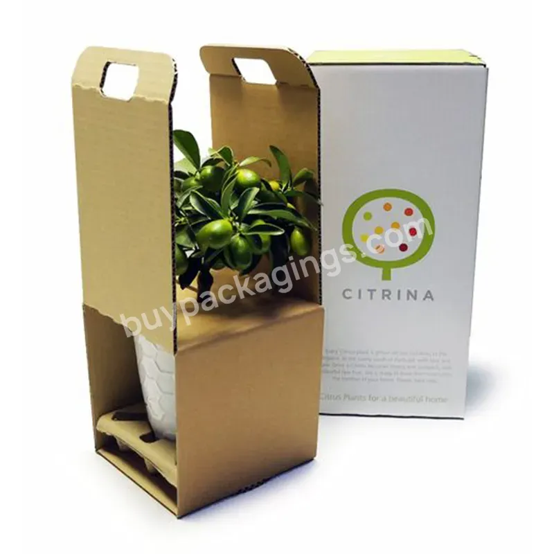 Recycled Rectangle Flower Custom Size Printing Live Corrugated Packaging Potted Indoor Plant Paper Boxes