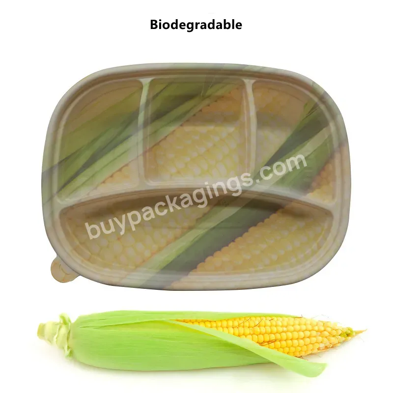 Restaurant Disposable Food Containers Wholesale Custom Plastic Compartment Lunch Box Food Takeout Containers Disposable