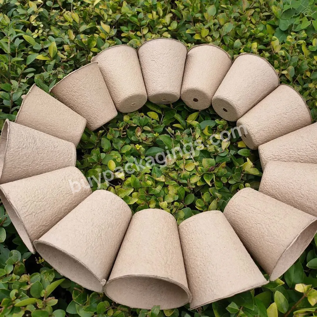 Round Paper Pulp Flower Planting Pot Product 6cm