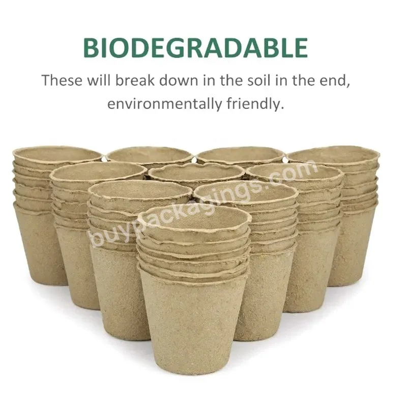 Round Paper Pulp Flower Planting Pot Product 6cm