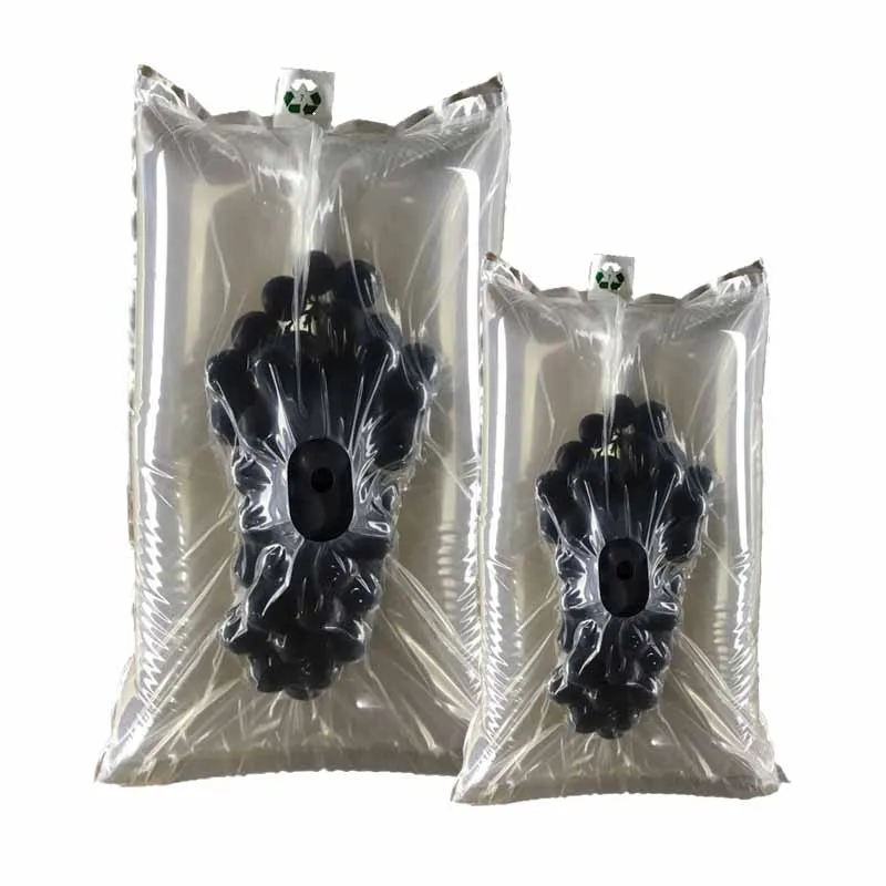 Shockproof Best Pack for Grapes fruit Protective Air Capsule Cushion Column Bag