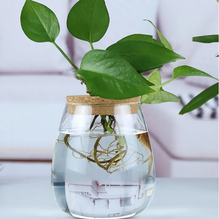 Small Flowerpot Multiple Shape For Indoor Green Plant Creative Decoration Landscape Cup Glass Bottle