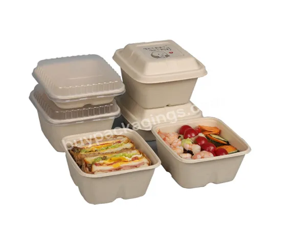 Square Disposable Biodegradable Customized Takeaway Sugarcane Lunch Box,Bagasse Tray - Buy Custom Disposable Lunch Boxes,Bento Lunch Box With Lid,Square Takeaway Lunch Boxes.