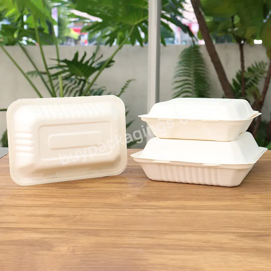 Sugar Cane Box Disposable Fast Food Bagasse Burger Box Biodegradable Food Box Personalized