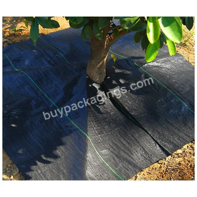 Weed Mat Ground Cover For Blueberry Greenhouse Weed Mat Control Weed Mat