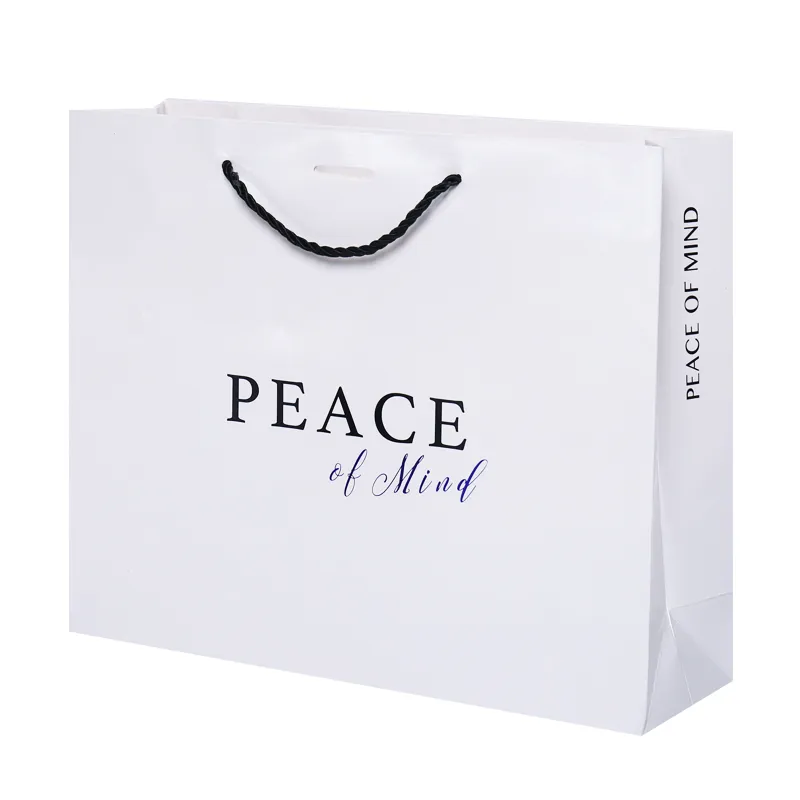 White Glossy Fashion Recycle Pe Plastic Brands Wedding China Manufactures Coated Custom Shopping Cardboard Gift Luxury Paper Bag