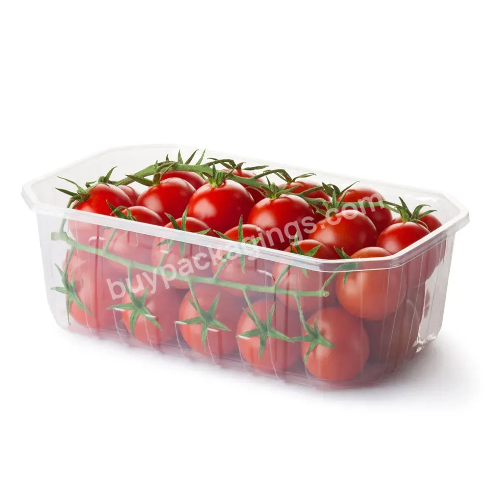 Wholesale Clear Plastic Disposable Fruit Clamshell Punnet Box Packaging Container With Lid