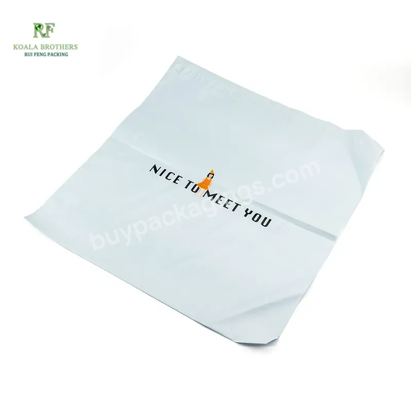 Wholesale Custom Flyer Pouch Plastic Envelope Mailing Matte Black Courier Bag For Shipping