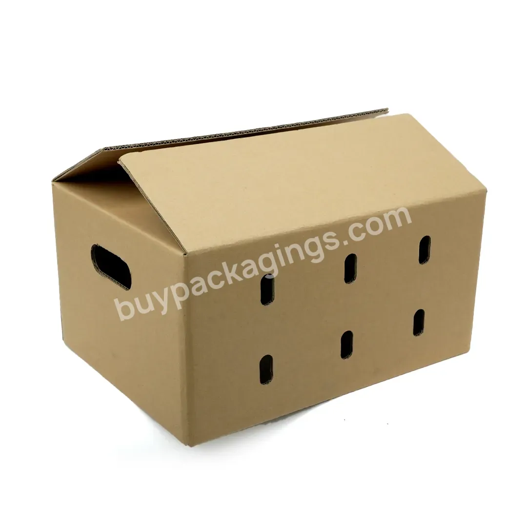 Wholesale Custom Packing Corrugated Cardboard Carton Box For Shipping Or Mail With Holes