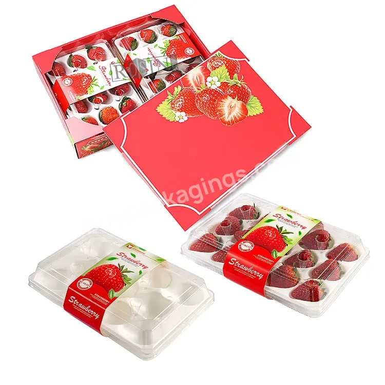 Wholesale Disposable Factory Custom Package Box Pet Clear Fruit Tray Strawberries Plastic Tray Packaging