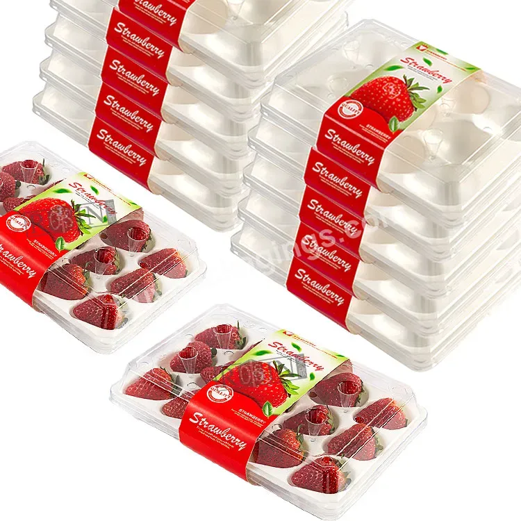 Wholesale Disposable Factory Custom Package Box Pet Clear Fruit Tray Strawberries Plastic Tray Packaging