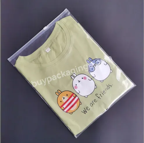 Wholesale Eco Friendly Custom Pe Clear Frosted Zipper Bag For T-shirt Packing