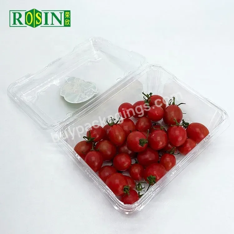 Wholesale Eco Friendly Disposable Transparent Clamshell Pet Packing Box With Hole For Kiwifruit Fresh Fruit