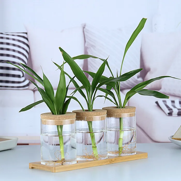 Wholesale Multiple Specification Small Flowerpot For Indoor Green Plant Creative Decoration Landscape Cup Glass Bottle