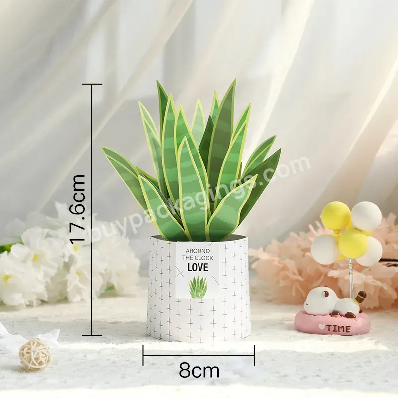 Zeecan Sansevieria Trifasciata Prain The Ins Photo Props Bouquet Flower Handmade Three-dimensional Dried Flowers Greeting Cards