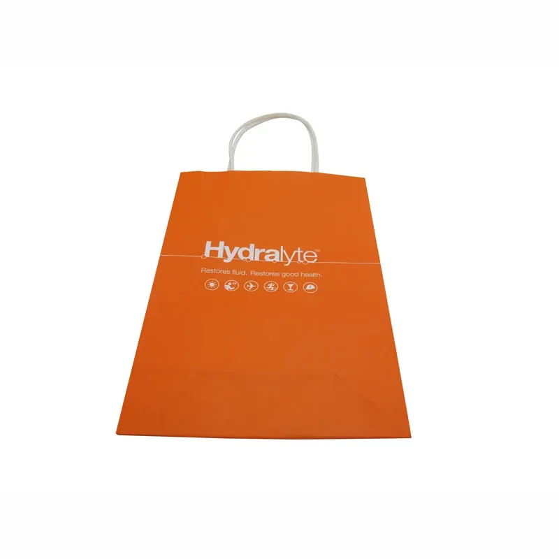 White Kraft Paper Twisted Handle Shopping Carrier Bag With Logo Printed - Buy Handle Shopping Bag,White Kraft Paper Bag,White Kraft Paper Bag With Handle.