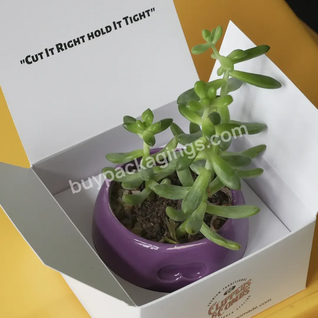 Custom Logo Printing Tuck Top Paper Moving Cardboard Succulents Live Plant Packaging Boxes