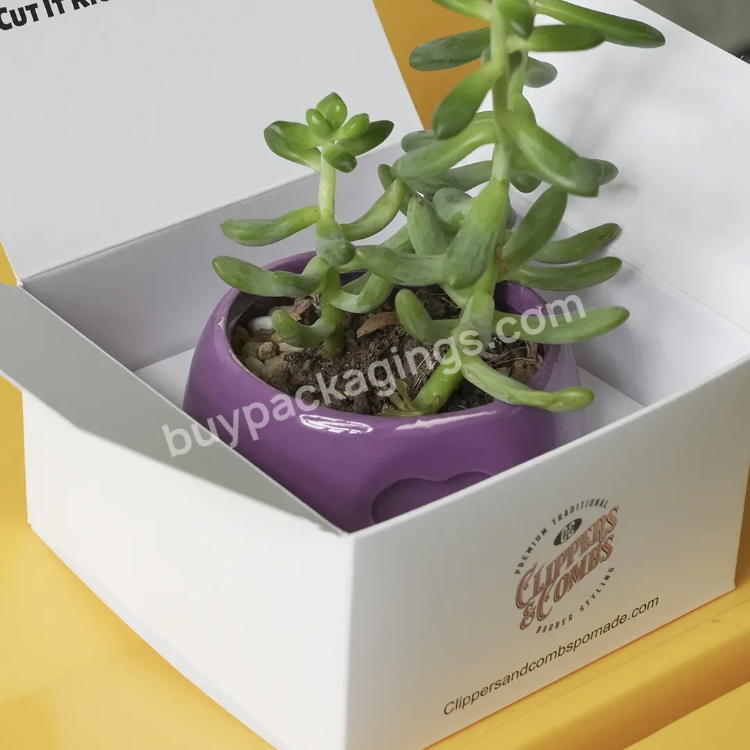Custom Logo Printing Tuck Top Paper Moving Cardboard Succulents Live Plant Packaging Boxes