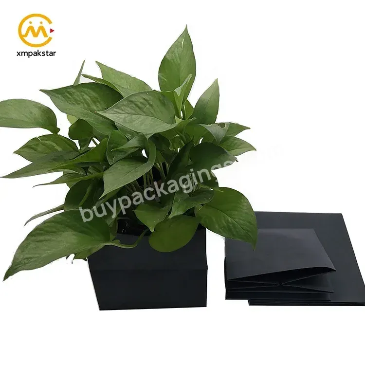 Custom Size Eco Black Kraft Waterproof Paper Bag Box For Pot Plant Packaging