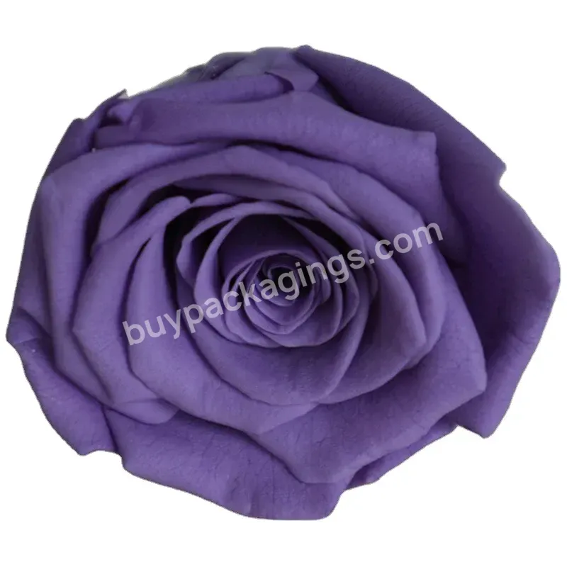 Wholesale Preserved Rose Grade A Preserved Roses Head Forever Roses Preserved Flower Supplier - Buy Preserved Roses,Preserved Roses Bulk Eternal Rose Bouquet,Wholesale Preserved Roses Head Preserved Rose Grade A Bulk Eternal Flower Rose Supplier.